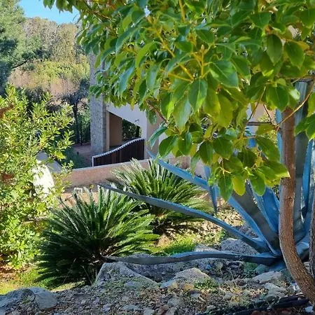 Daire Appartement Vue Mer